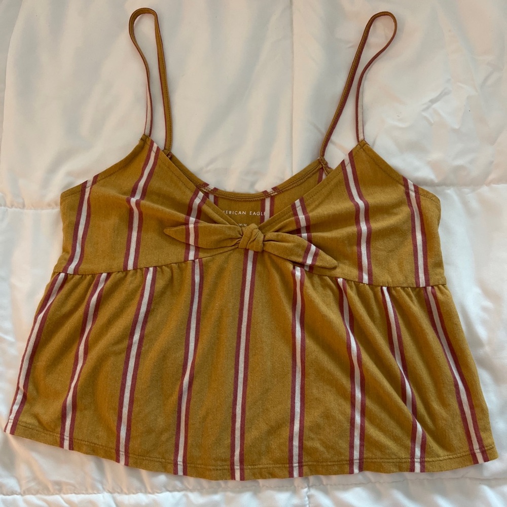American Eagle Striped Crop Top Tank